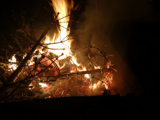Offenes Feuer mit brennendem Tannenbaum