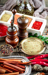 Spices and condiments for food