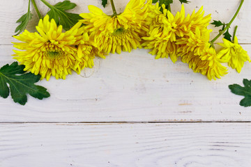 Yellow chrysanthemums on white wooden background. Top view, copy space