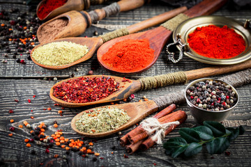 Spices and condiments for food
