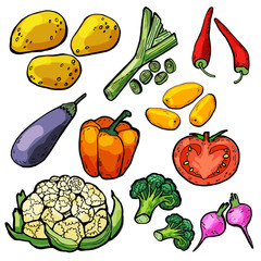 Vector set of fresh vegetables from garden beds.