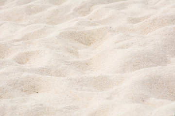 Fototapeta na wymiar Beautiful fine beach sand texture on the beach