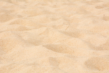 Fototapeta na wymiar Beautiful fine beach sand texture on the beach