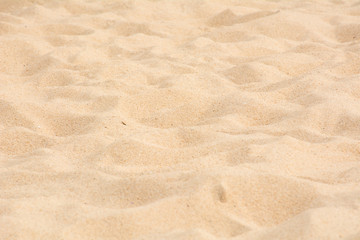 Beautiful fine beach sand texture on the beach