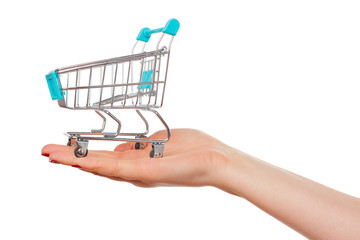 The shopping cart in female hands isolated