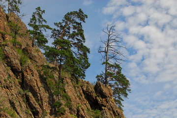 The shore of Lake Baikal.