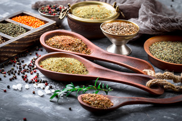 Spices and condiments for food