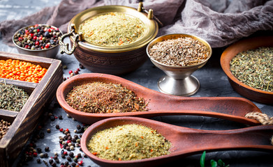 Spices and condiments for food