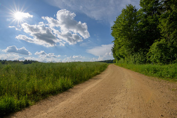 Fototapeta na wymiar Dirt road near a forest in summer with warm cumulus clouds