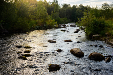 Wild river in forest. Big stones in the water. Summer river landscape. Evening time