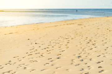 footprint on sand sea beach, background and texture