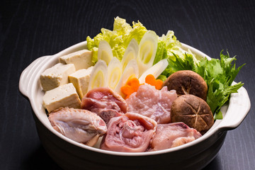 鶏鍋~水炊き