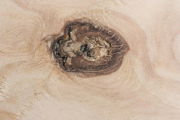 Plywood with a beautiful knot resembling the pupil of the eye. Interesting background.