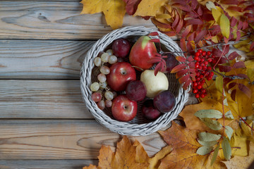 Various fruits are lying in a wicker basket. Autumn still life. Copy space for your text.