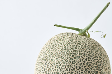 fresh melon on white background.