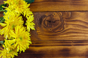 Yellow chrysanthemums on wooden background. Top view, copy space