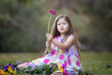 Little Caucasian girl in festive summer dress sits on green grass and collect flowers making a bouquet. Holding pink gerbera