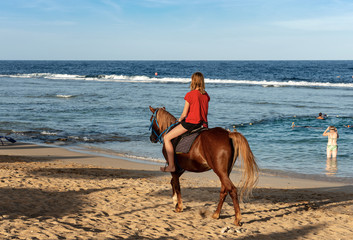 Girl riding Horse on the Beach - Red Sea Egypt