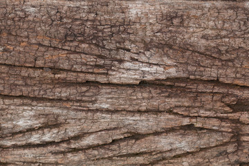 Fototapeta premium Old Wooden panel texture for background, vintage texture style