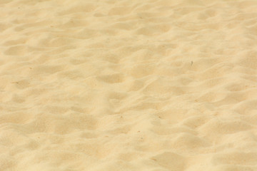 Fototapeta na wymiar Sand beach texture 