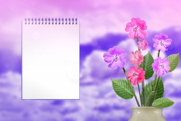 Beautiful live petunia bouquet bouquet in porcelain vase with notebook with blank place for your content on left on sunny day sky with clouds background.
