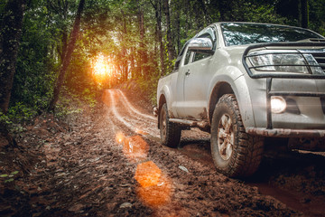 Off-road travel on road after rain in the forest. with beautiful nature © surachat