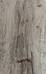 Old Wooden Texture.