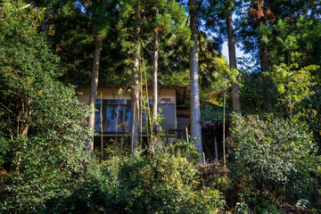 Fototapeta na wymiar Old Japanese house deep in forest on sunny day
