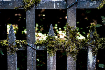 Fototapeta premium Photo dramatique d'une vieille clôture
