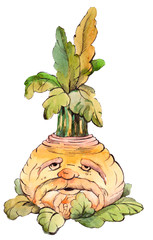 decorative turnip