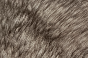 Texture of fur hair background