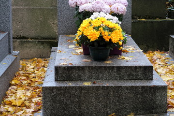 Chrysanthèmes jaunes sur une tombe en pierre grise