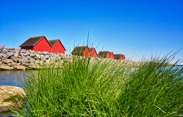 View over the seagrass to the fishermen's houses at the harbor Wei?e Wiek in Boltenhagen at the...