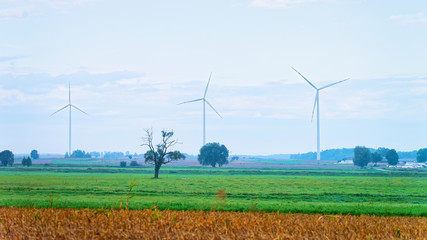 Wind mills in South Moravia