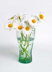bouquet of wildflowers chamomiles in a glass with water on a white background