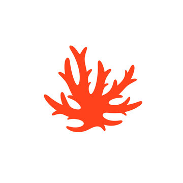 Red coral. Vector illustration