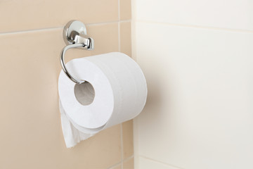 Roll of toilet paper in restroom