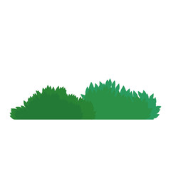 Bush green isolated symbol