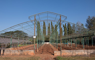 Vegetable greenhouse