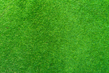 Green grass as background