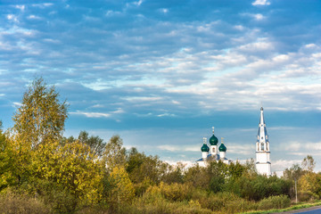 Asphalt road among the yellow trees in autumn sunny day. 