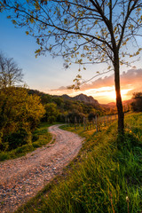 Sentiero di collina con le calde luci del tramonto sui Colli Euganei in Italia