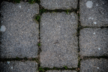 Rustic Brick Road Tiles