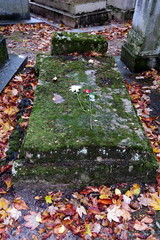 Tombeau ancien recouvert de mousse dans un cimetière