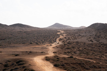 Camino en el desierto