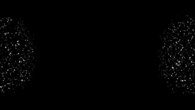 360 VR Romantic flying silver metal rose flower petals transition for St. Valentine's Day, wedding anniversary greeting cards, invitation or birthday e-card. 4k alpha channel isolated