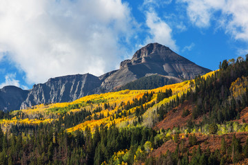Obraz premium Autumn in Colorado