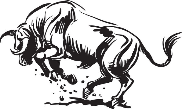black and white angry bull