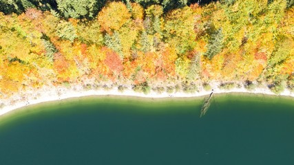 Autumn color forest, aerial view over colorful autumn trees, towards lake and on a sunny fall day