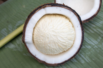 Close up of coconut on green background